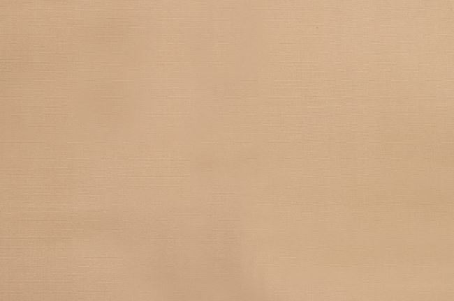 Kanvas tkanina tapicerska jednokolorowa beżowa 0183/178