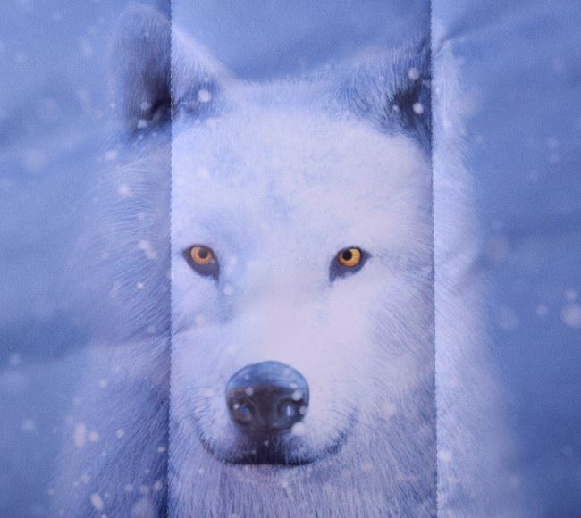 Pikówka niebieska z cyfrowym nadrukiem wilka i płatków śniegu panel PL-NL-401