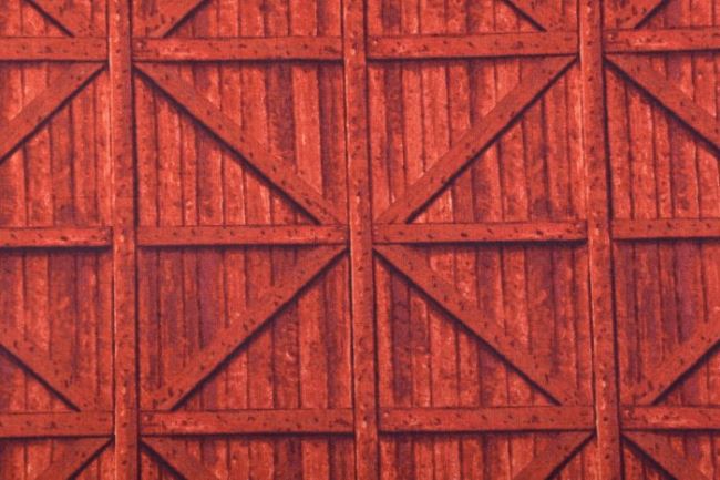 Amerykańska bawełna do patchworku z motywem czerwonego drewna 199PYOPM/38