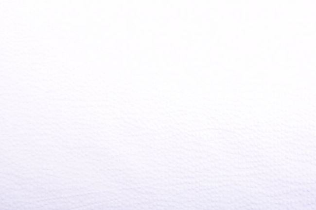 Bawełna koszulowa biała w paski kreszowana 0647/001