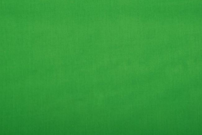 Bawełna elastyczna w kolorze zielonym 2858/025