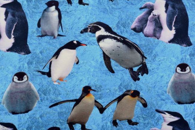 Dzianina bawełniana z cyfrowym nadrukiem pingwinów 61061