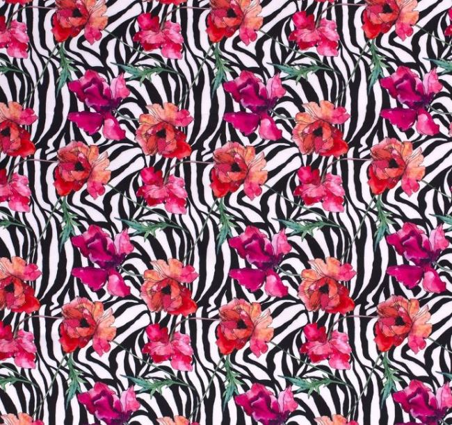 Softshell kremowy z cyfrowym nadrukiem zebry i kwiatów 16504/051