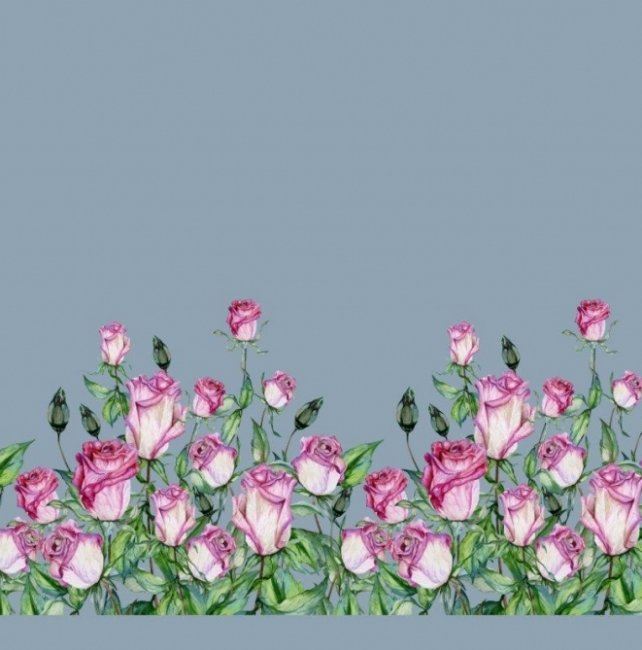 Dzianina bawełniana szara z cyfrowym nadrukiem róż 15917-09