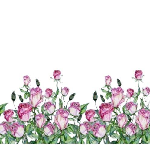 Dzianina bawełniana biała z cyfrowym nadrukiem róż 15917-02