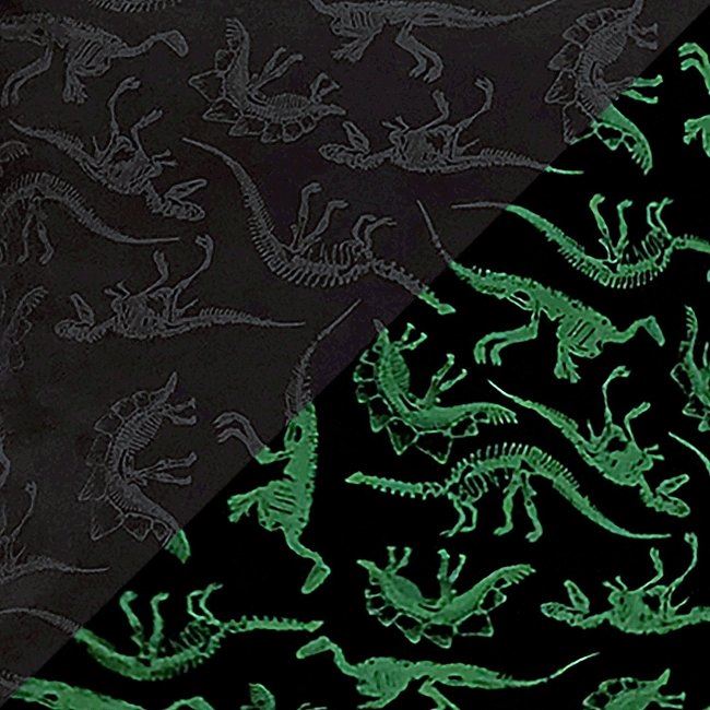 Softshell czarny z fluorescyjnymi dinozaurami 13554/069