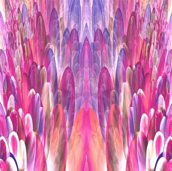Dzianina bawełniana z cyfrowym nadrukiem kolorowych różowych piórek 15961-12