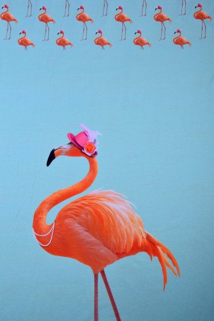 Dzianina bawełniana miętowa z cyfrowym nadrukiem flaminga 80087